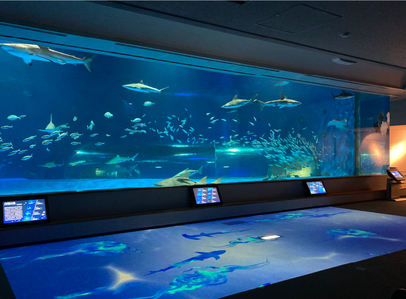 しまね海洋館アクアス1