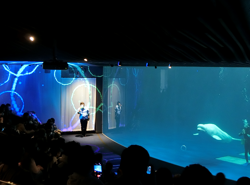 しまね海洋館アクアス3