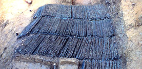 �����o�y��