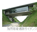 ���Ί�q��ՃK�C�_���X