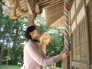 �a�c�����_��