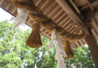 �a�c�����_��