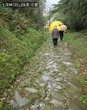 �y�����i���R�A���j�Ώ�